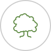 icons8-oak-tree-100 (1)